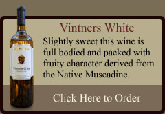 Vintners White
